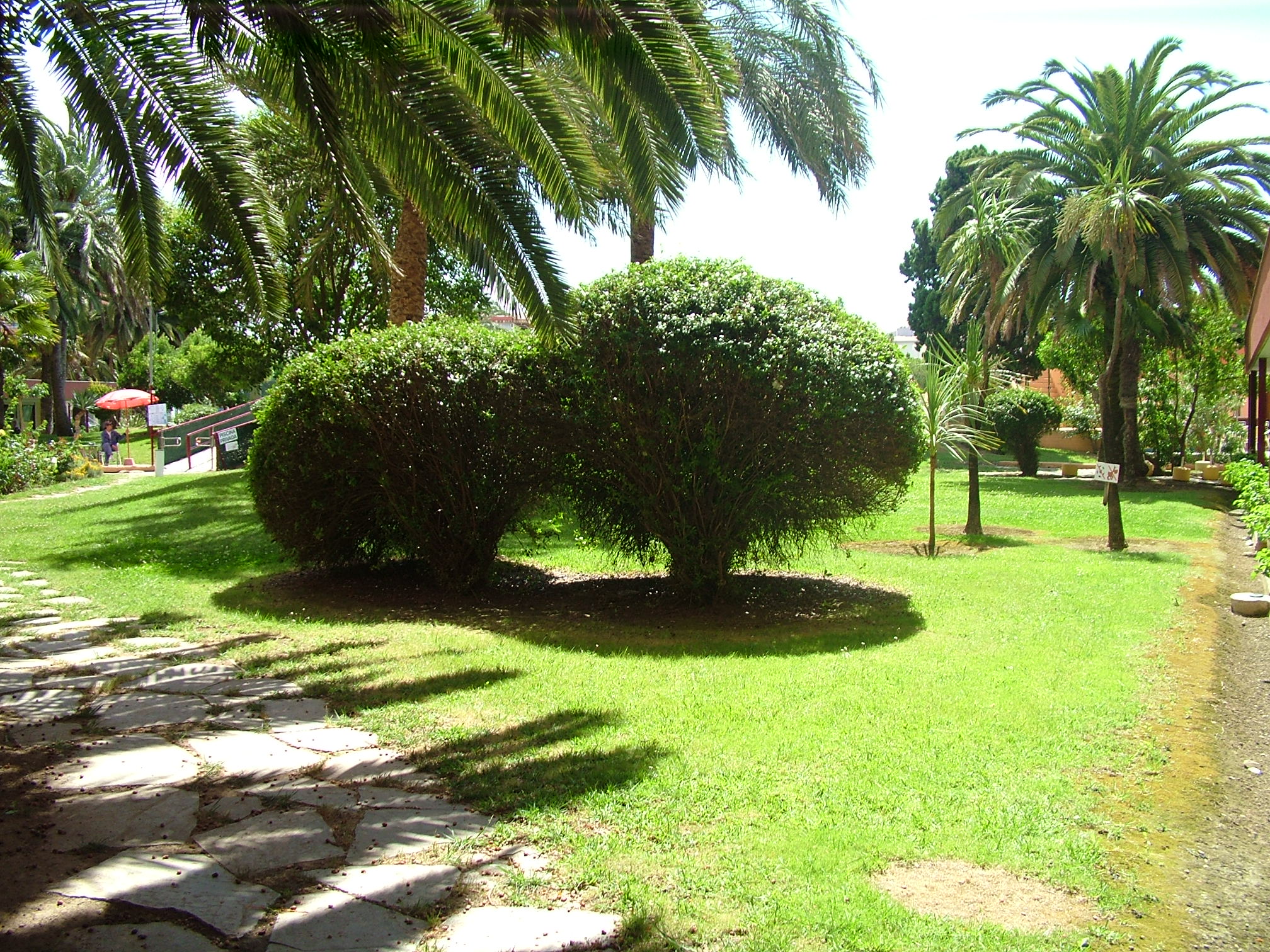 Photo vue sur balcon